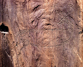 Engraving of a cervid - Credit Georges Sauvet. Photograph of a rock engraving depicting a cervid from the open-air site at Foz Côa (Portugal).